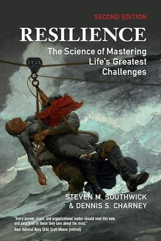 Cover of Resilience: The Science of Mastering Life's Greatest Challenges, 2nd Edition