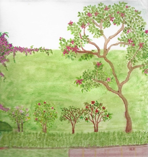Aidee artwork titled Garden Study