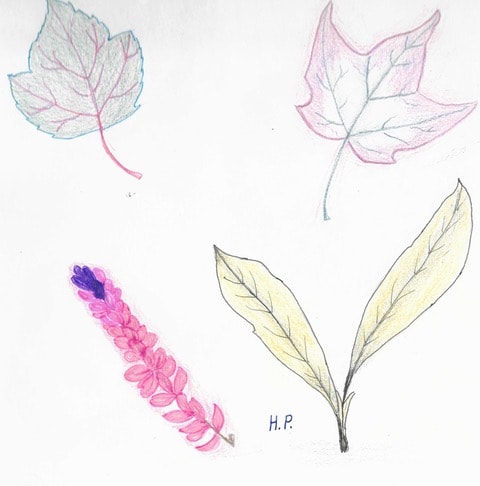 Aidee artwork titled Leaves and Flowers