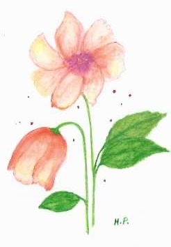 Hand-drawn orange flower with green leaves