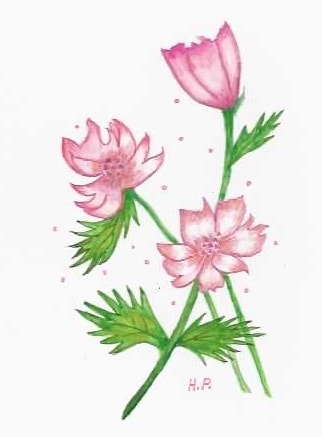 Aidee artwork titled Red Flowers