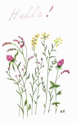 Aidee artwork titled Spring Flowers II