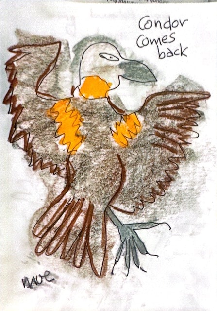 Condor comes back. Moe