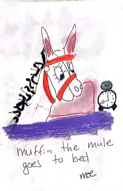 Muffin the mule goes to bed. Moe
