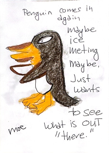 Penguin comes in again — maybe ice melting, maybe just wants to see what is out there. Moe