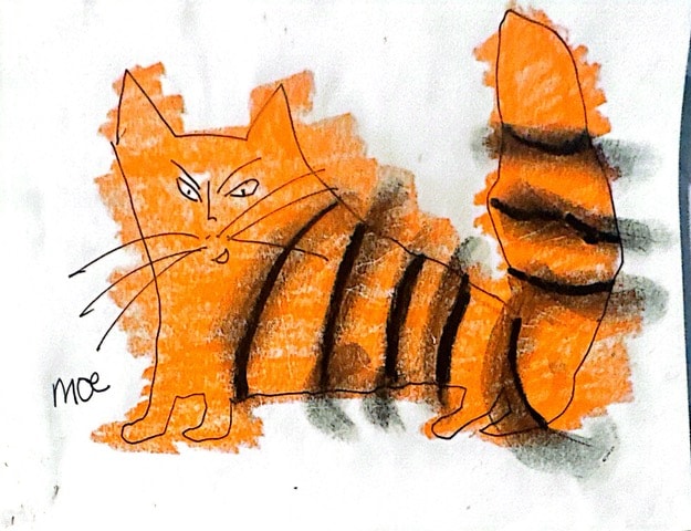 Orange tiger cat. Moe