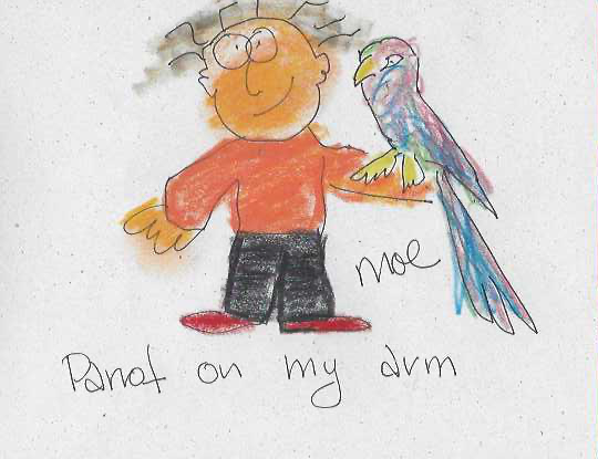 Parrot on my arm — drawing by Moe