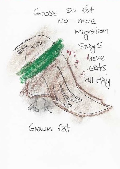 Goose so fat, no more migration, stays here, eats all day — My Circle of Recovery by Moe